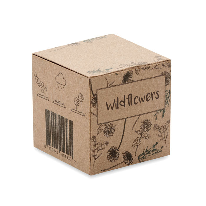 BOMBI Saat-Set Wildblumen