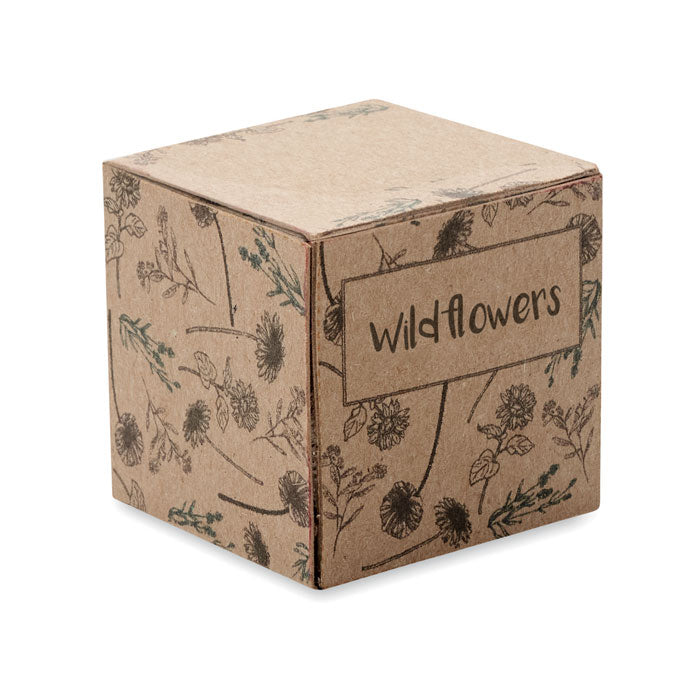 BOMBI Saat-Set Wildblumen