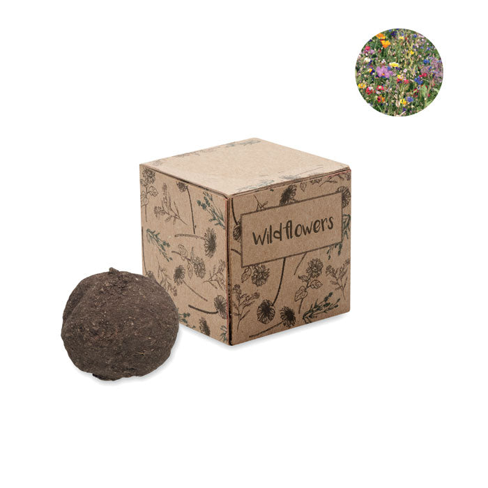 BOMBI Saat-Set Wildblumen – Beige