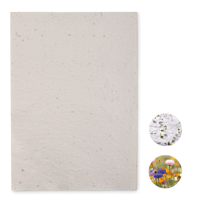 ASIDI DIN A4 Wildblumen-Samenpapier – Weiß