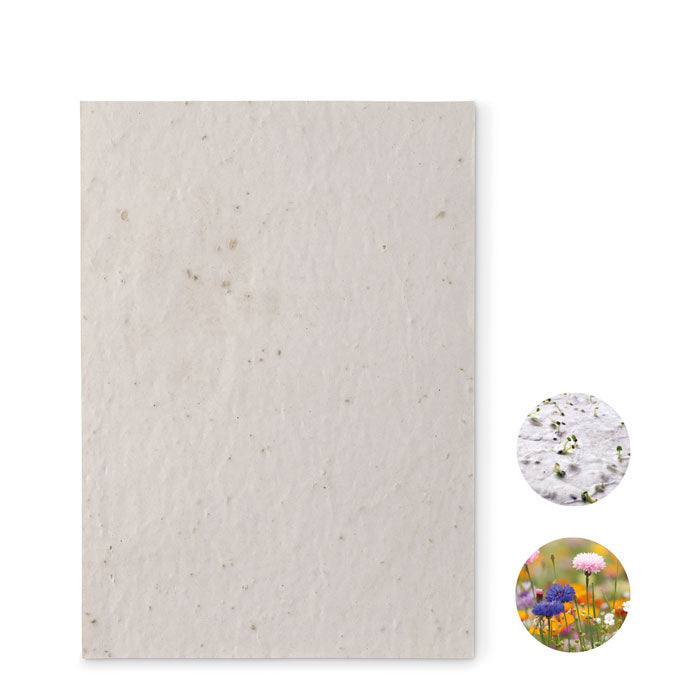 ASIDE DIN A5 Wildblumen-Samenpapier – Weiß