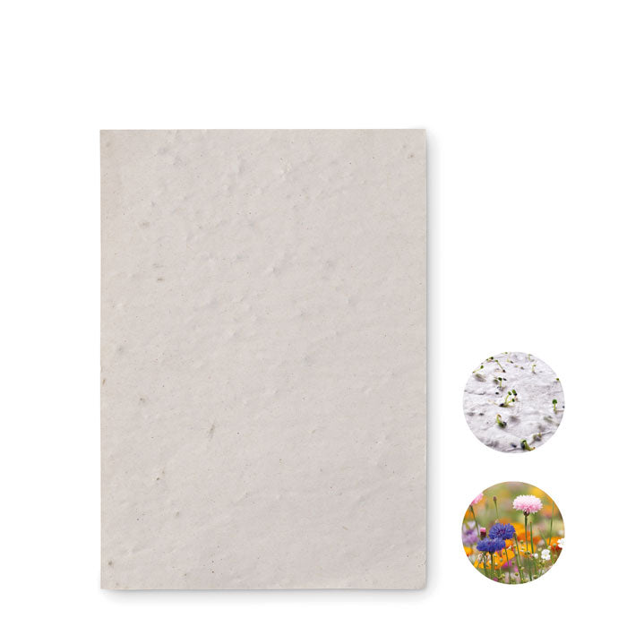 ASIDO DIN A6 Wildblumen-Samenpapier – Weiß