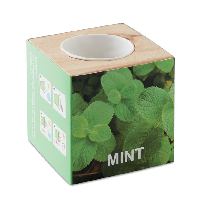 MENTA Kräuterpflanz-Set – Holz