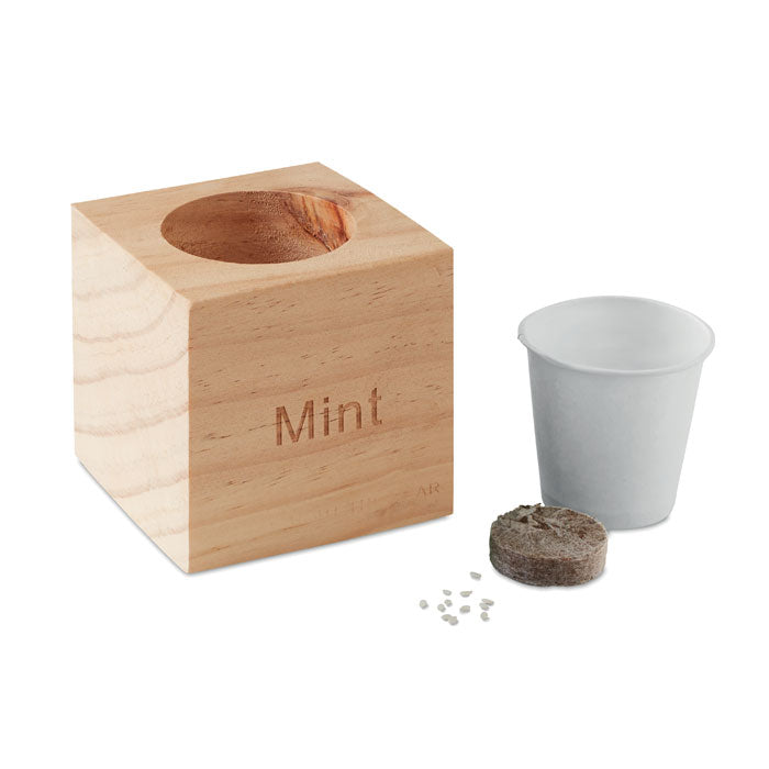 MENTA Kräuterpflanz-Set