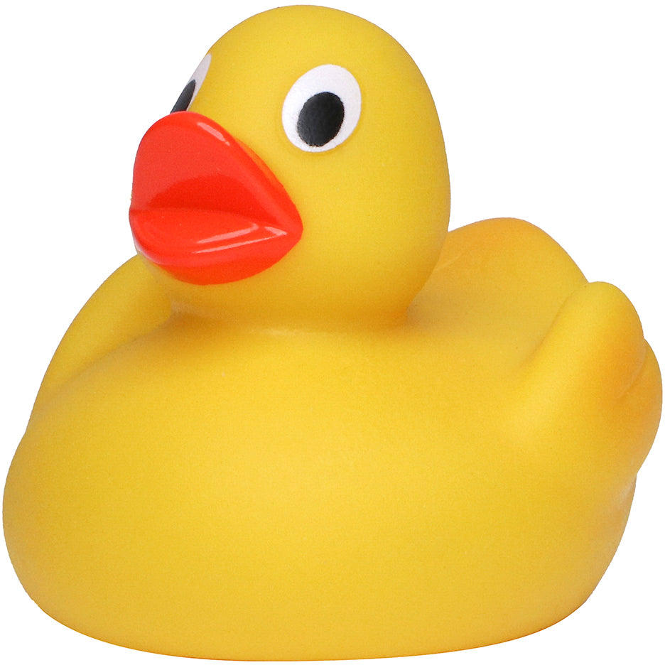 Quietsche-Ente – Detailansicht 2