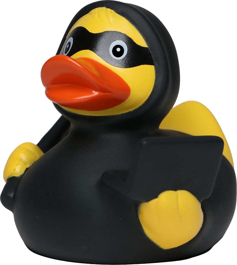Quietsche-Ente Phishing – Ansicht 3
