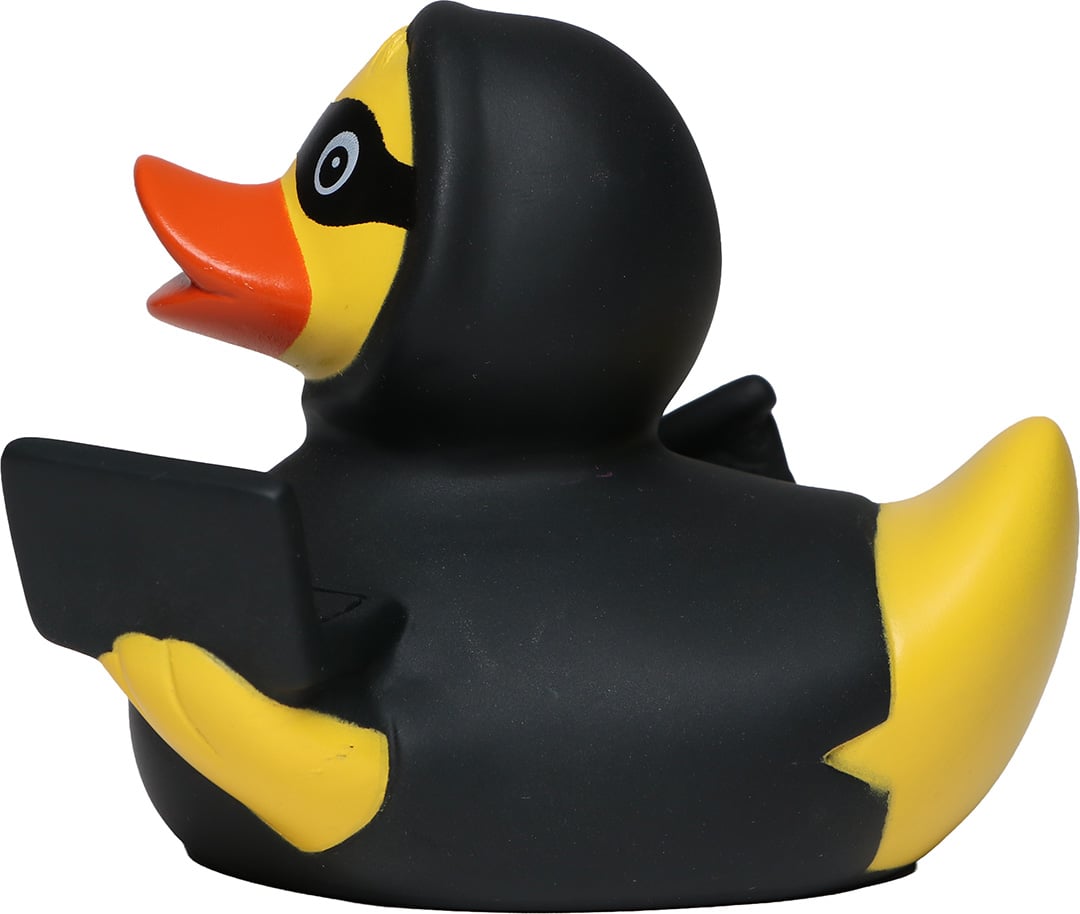 Quietsche-Ente Phishing – Ansicht 4