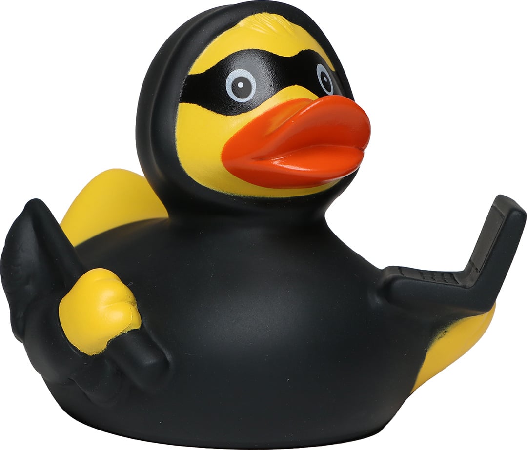 Quietsche-Ente Phishing – Ansicht 1