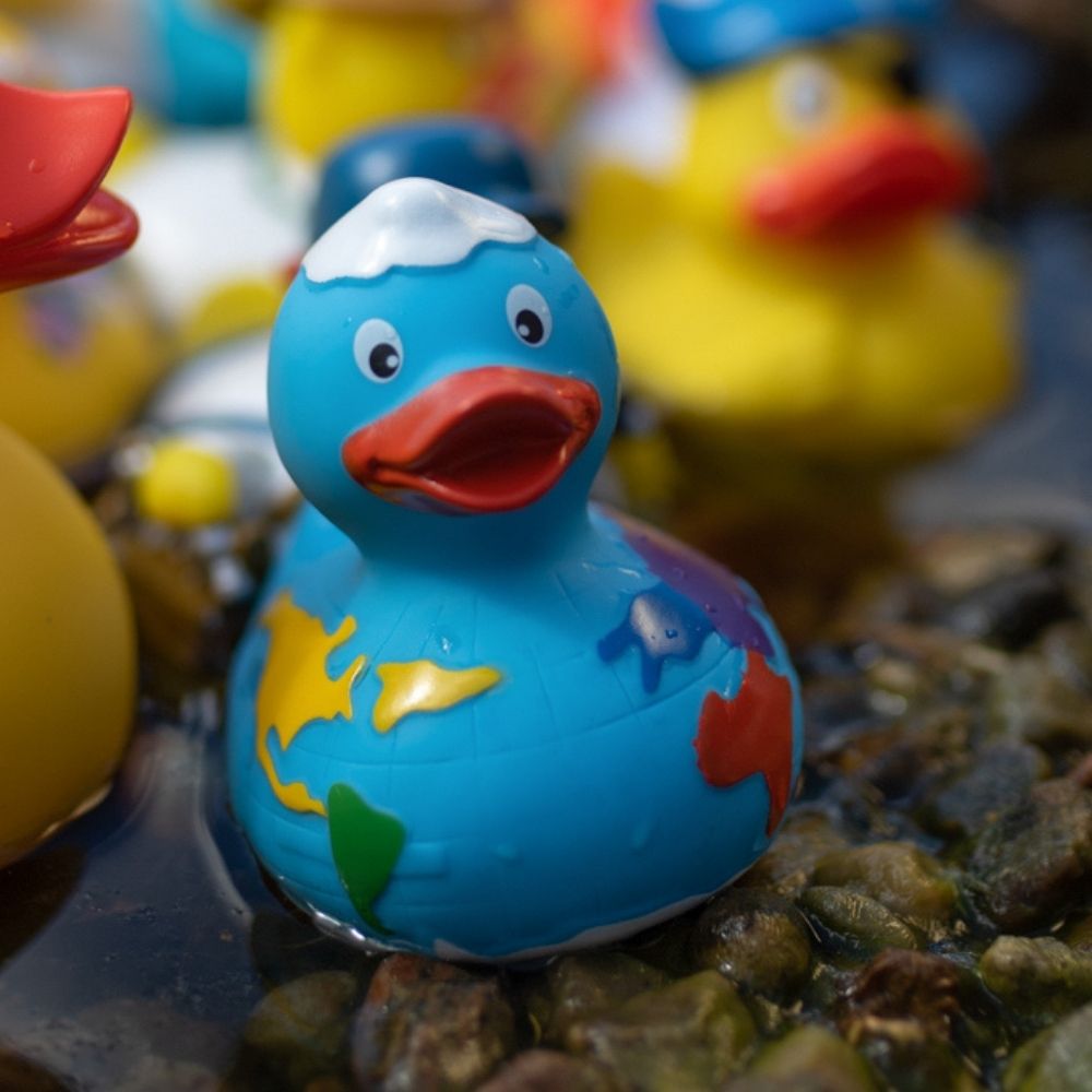 Quietsche-Ente Welt – Detailansicht 2