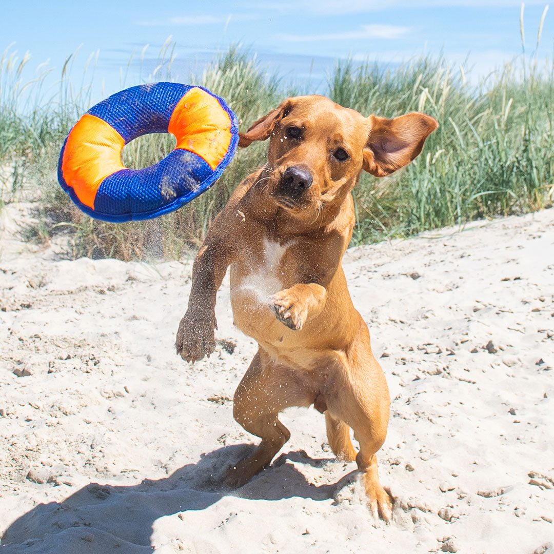 Hundespielzeug Flying Disc – Detailansicht 19