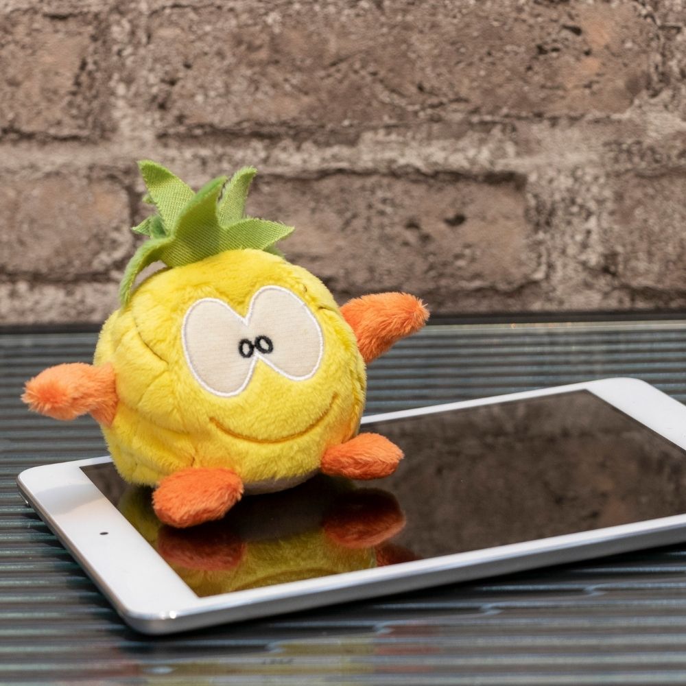 Schmoozies® Ananas – Detailansicht 4
