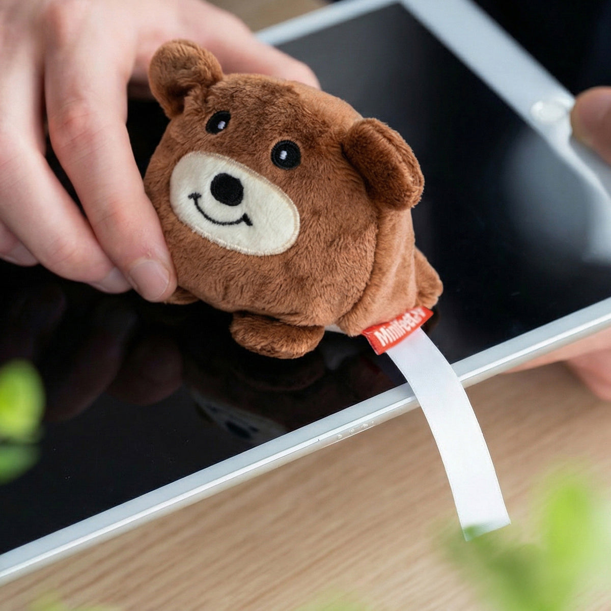 Schmoozies® Bär – Detailansicht 3