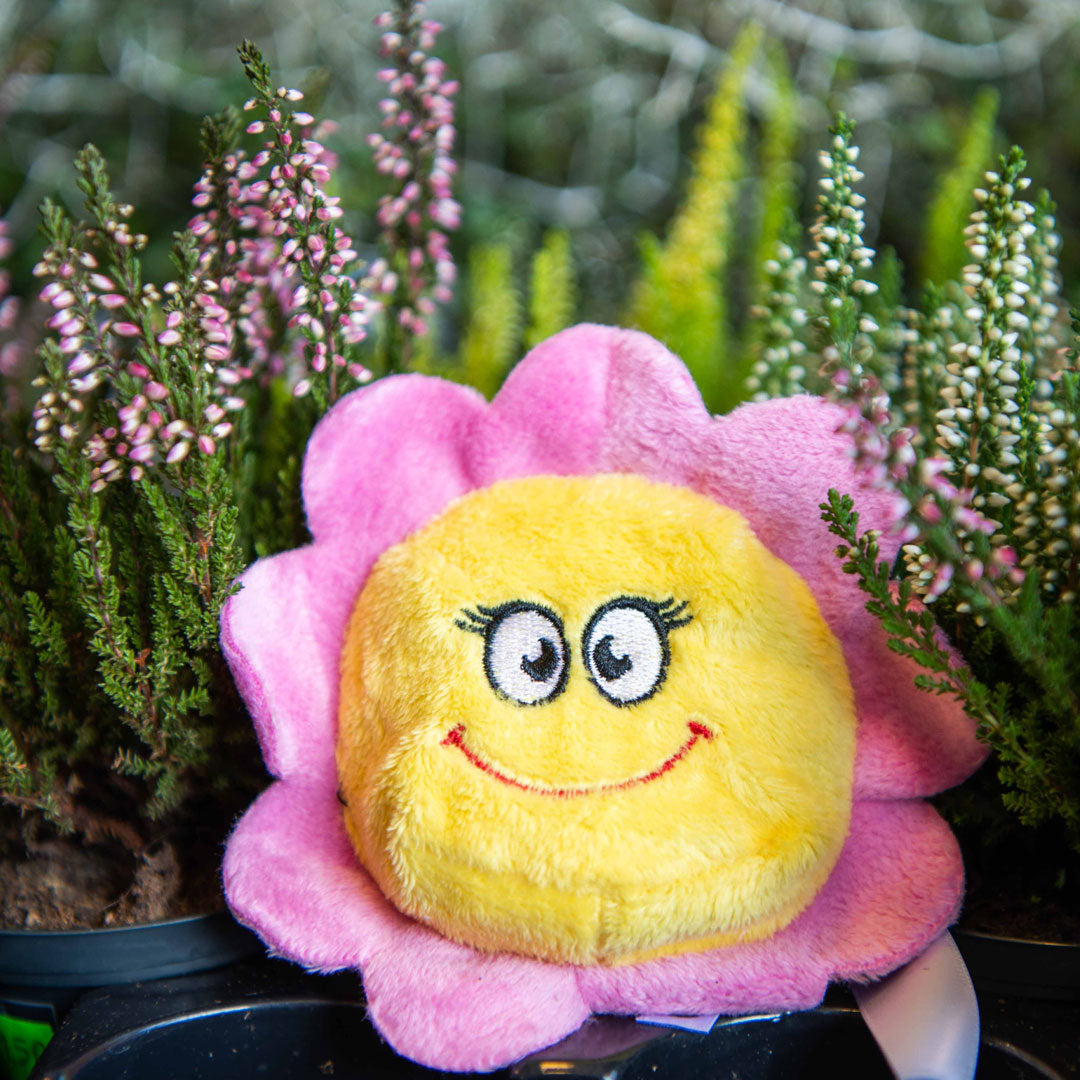 Schmoozies® Blume mit Slogan Blumenkind – Detailansicht 5