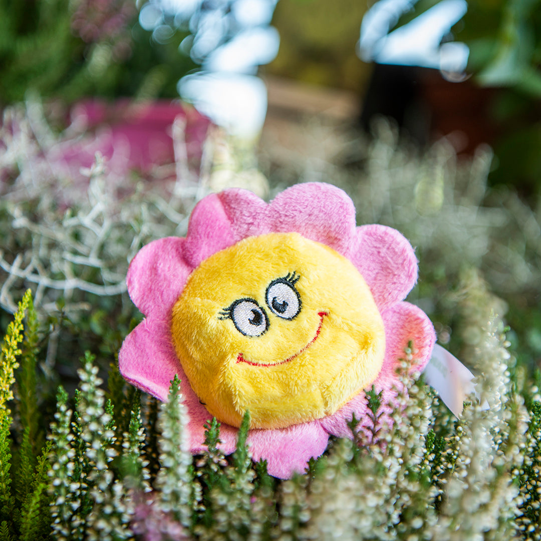 Schmoozies® Blume – Detailansicht 4