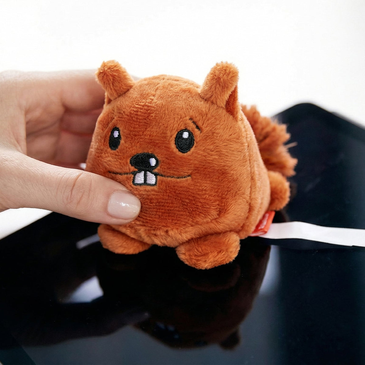 Schmoozies® Eichhörnchen Displayreiniger – Ansicht 2