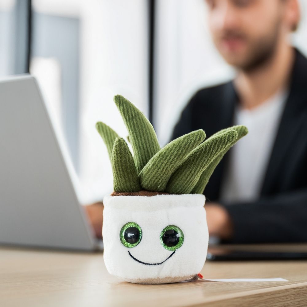 Schmoozies® Evergreenies® Aloe Vera – Detailansicht 3