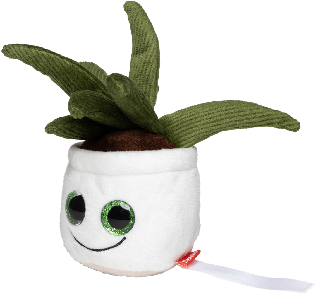 Schmoozies® Evergreenies® Aloe Vera – Detailansicht 6