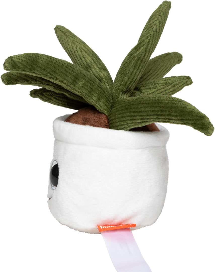 Schmoozies® Evergreenies® Aloe Vera – Detailansicht 7