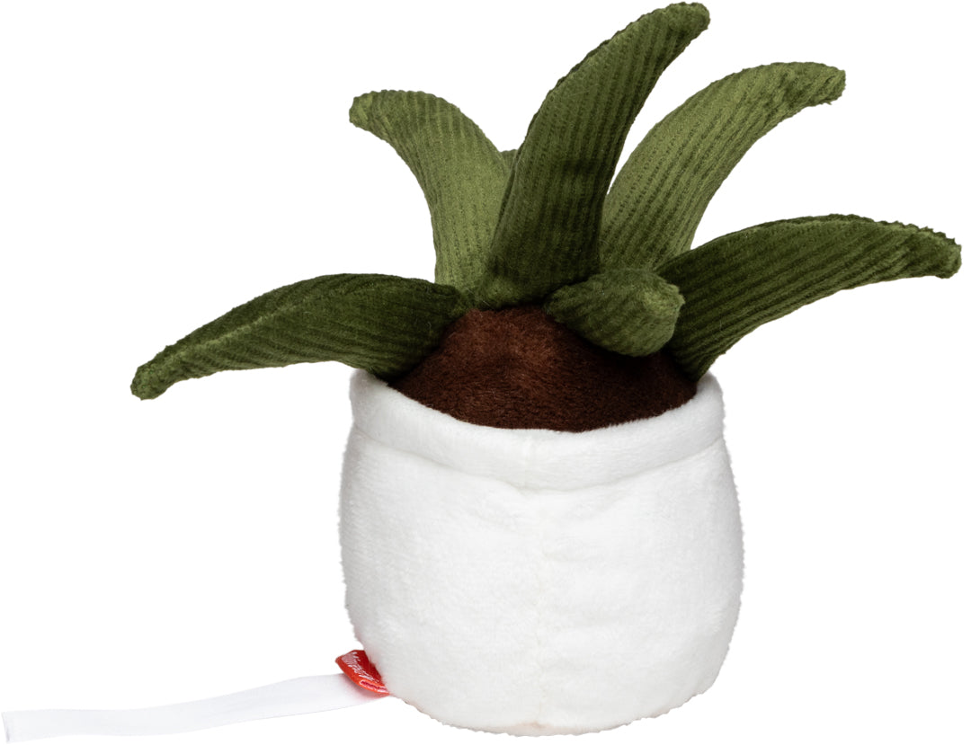 Schmoozies® Evergreenies® Aloe Vera – Detailansicht 8