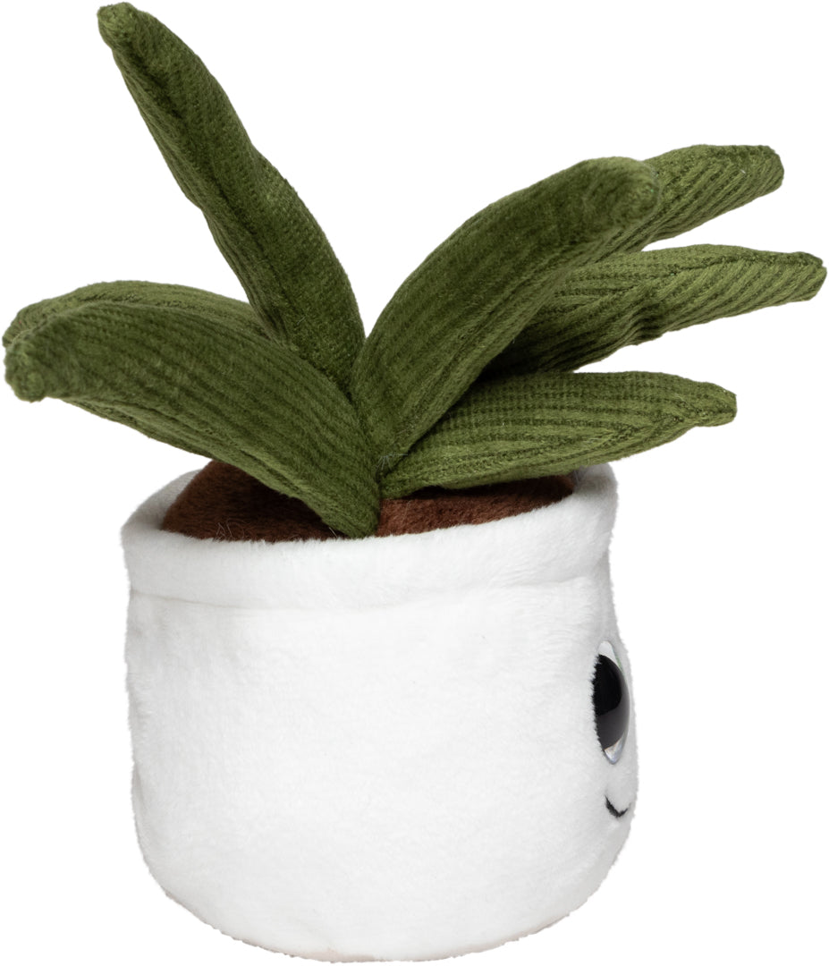Schmoozies® Evergreenies® Aloe Vera – Detailansicht 9
