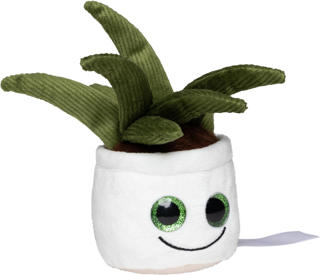 Schmoozies® Evergreenies® Aloe Vera – Detailansicht 10