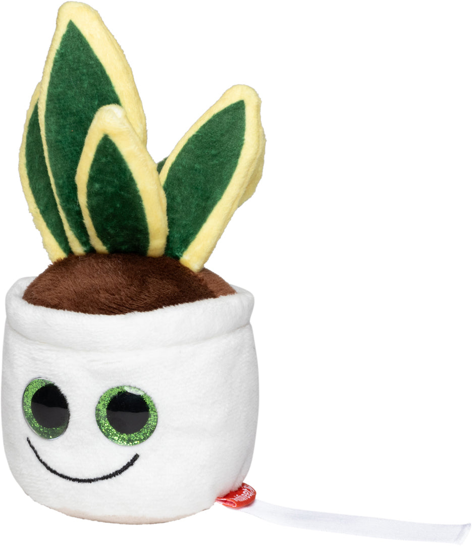 Schmoozies® Evergreenies® Bogenhanf – Detailansicht 6
