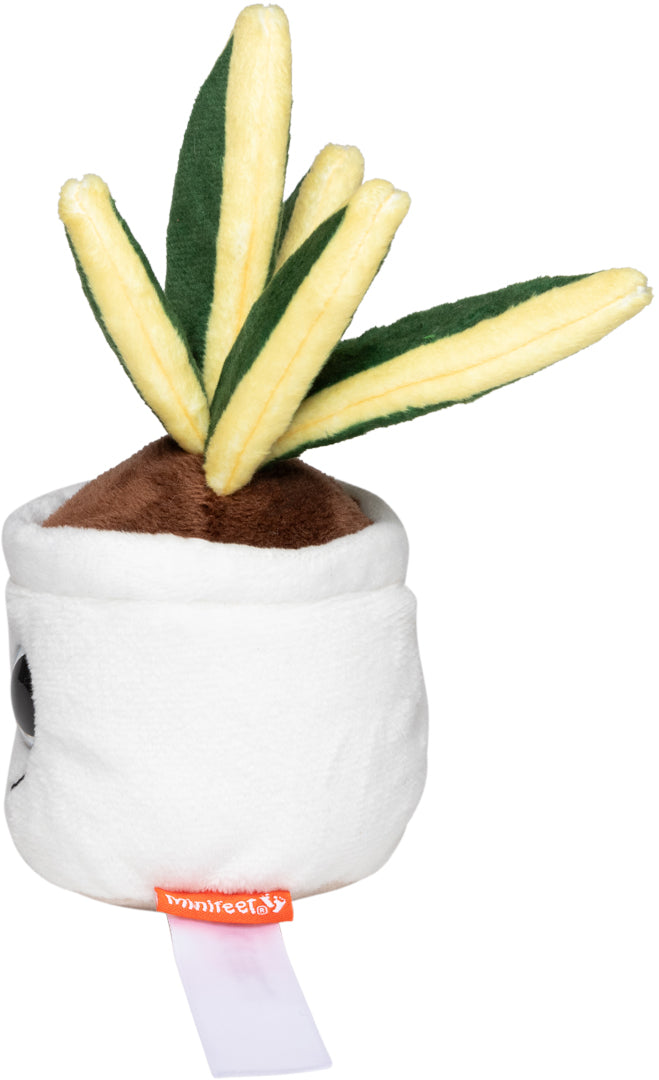 Schmoozies® Evergreenies® Bogenhanf – Detailansicht 7