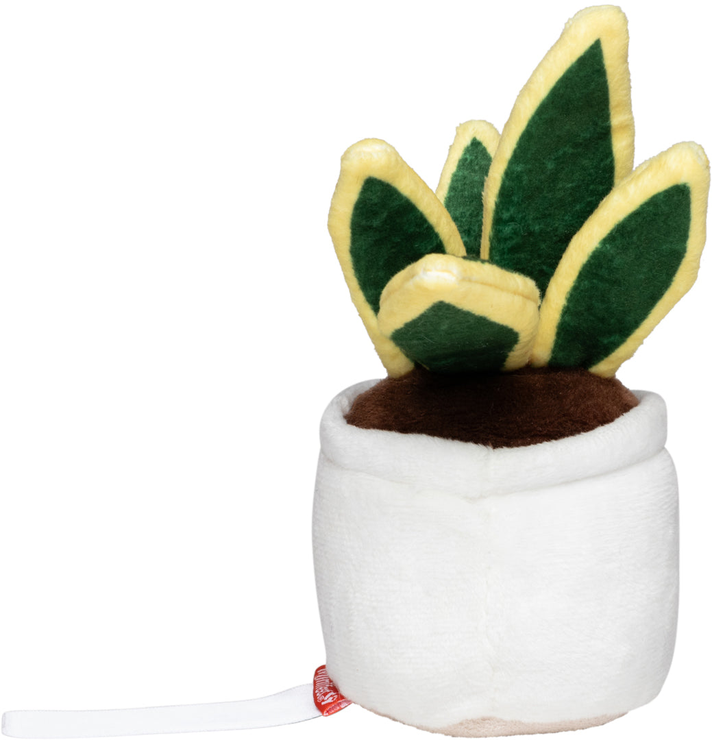 Schmoozies® Evergreenies® Bogenhanf – Detailansicht 8