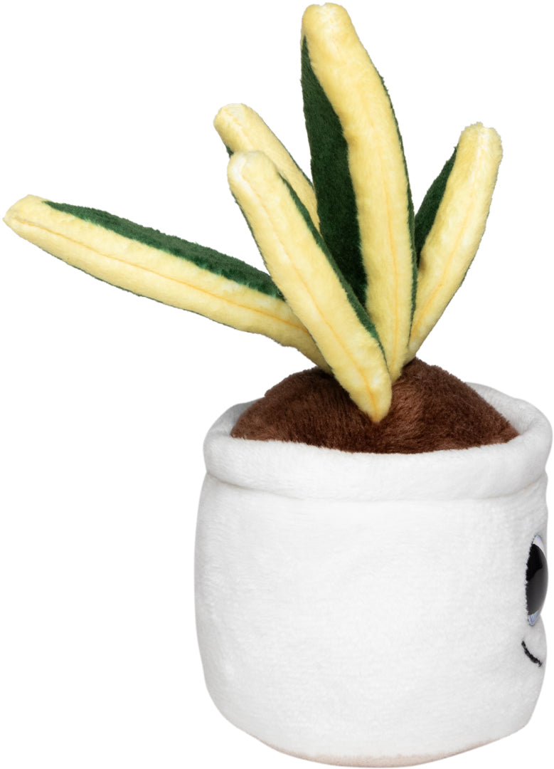 Schmoozies® Evergreenies® Bogenhanf – Detailansicht 9