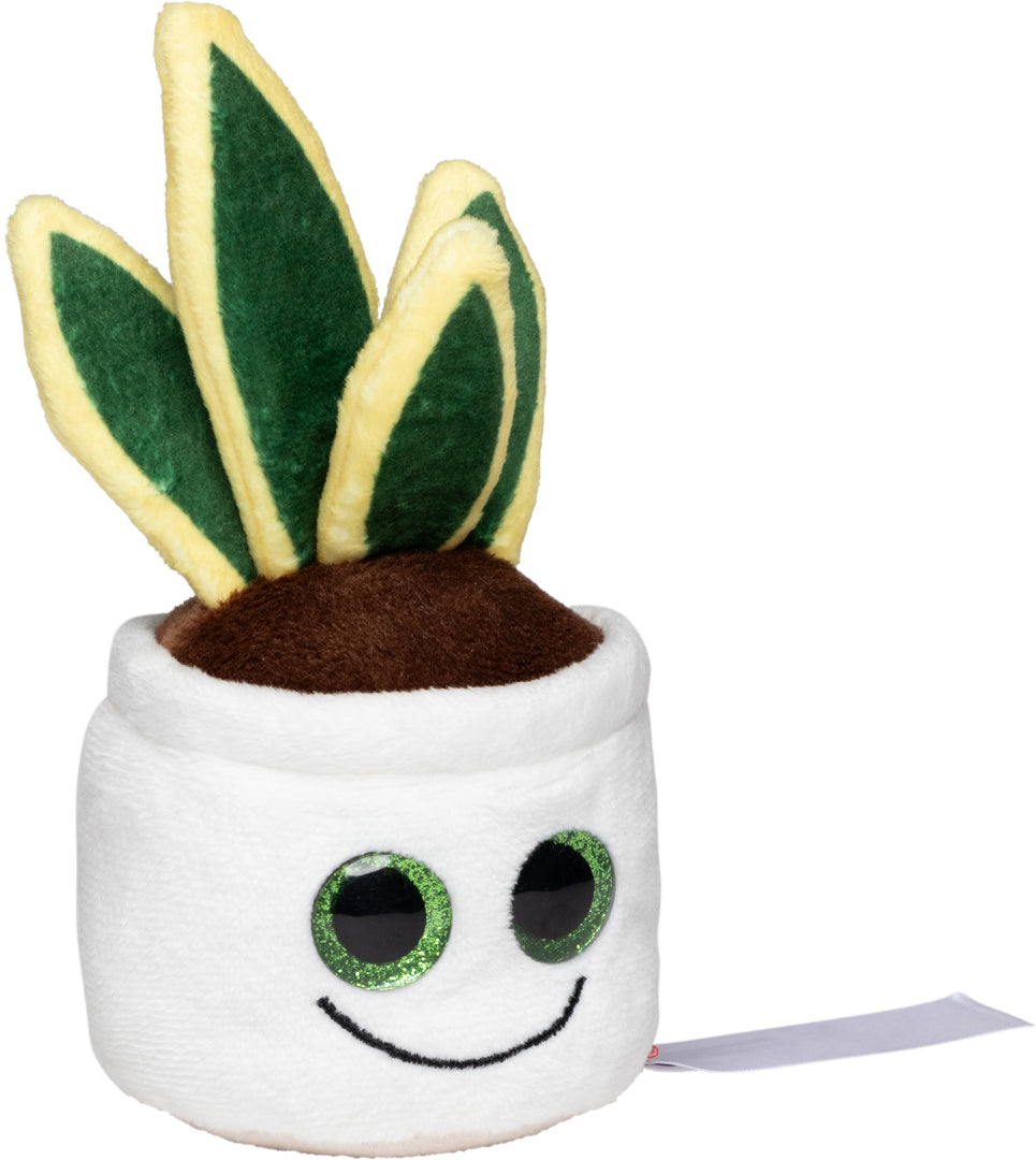 Schmoozies® Evergreenies® Bogenhanf – Detailansicht 10