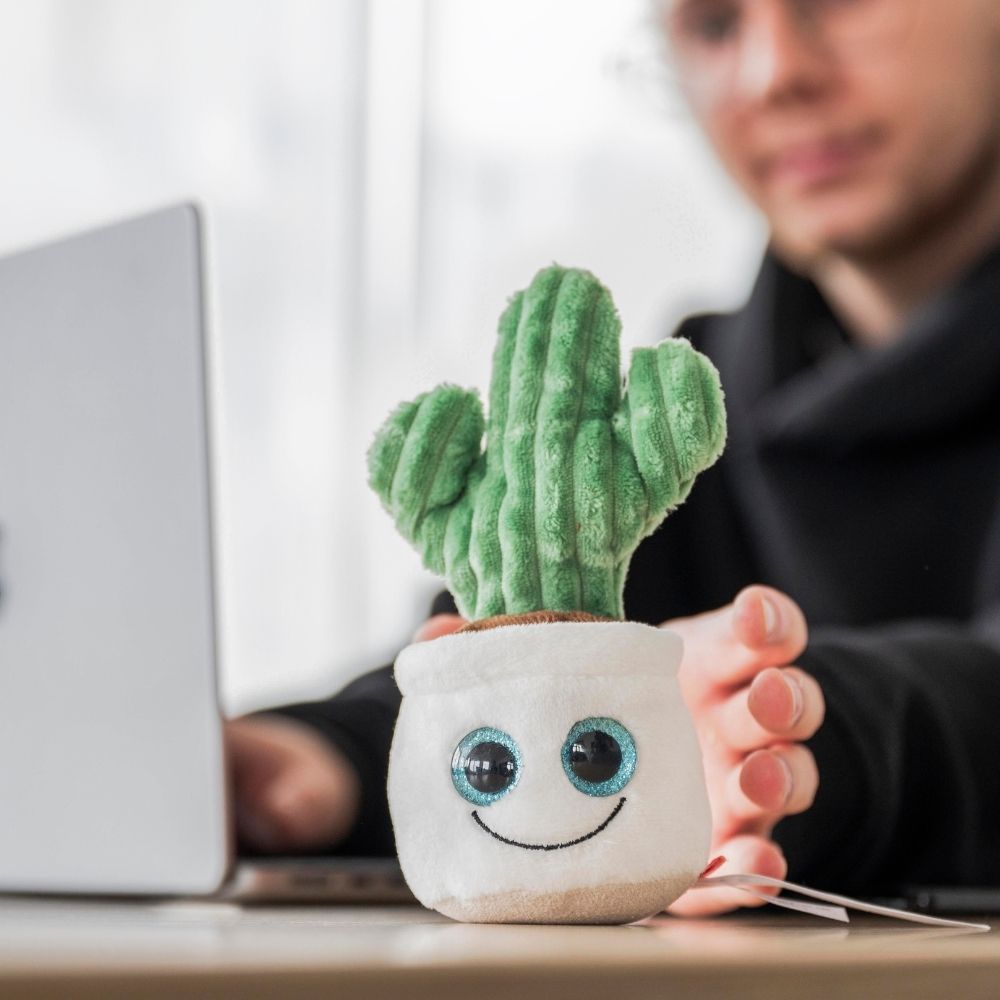 Schmoozies® Evergreenies® Kaktus – Detailansicht 3