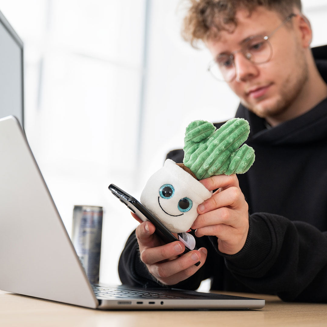 Schmoozies® Evergreenies® Kaktus – Detailansicht 4