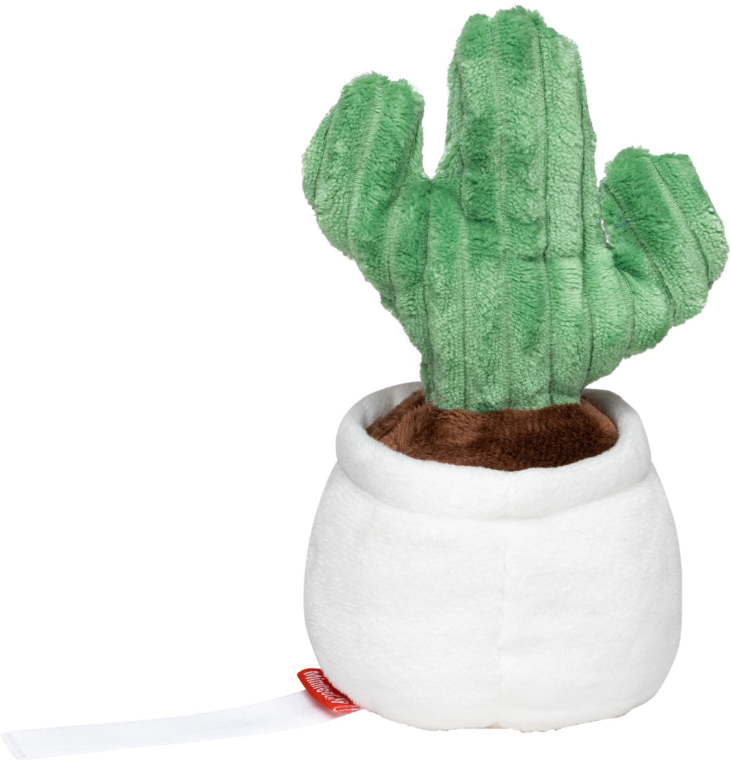 Schmoozies® Evergreenies® Kaktus – Detailansicht 8