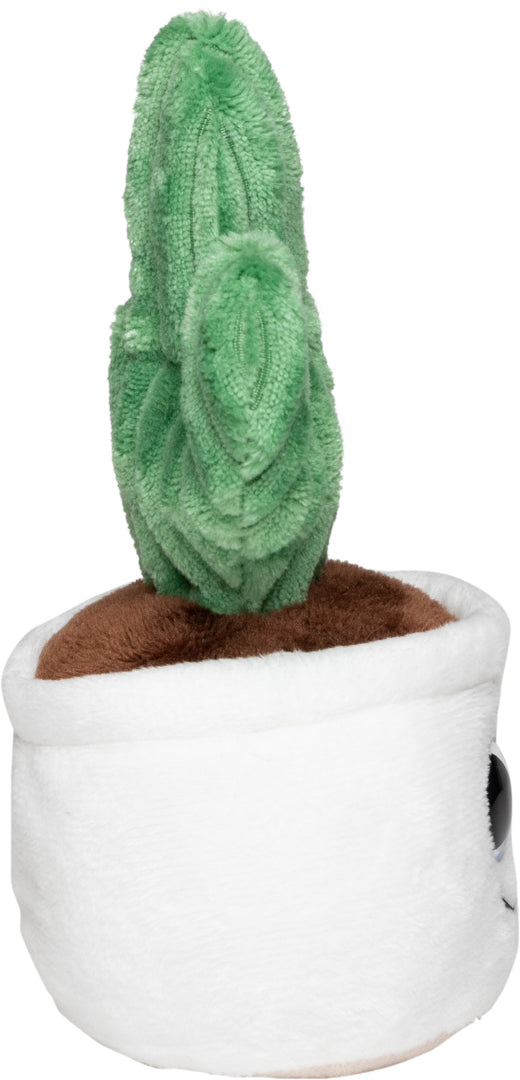 Schmoozies® Evergreenies® Kaktus – Detailansicht 9