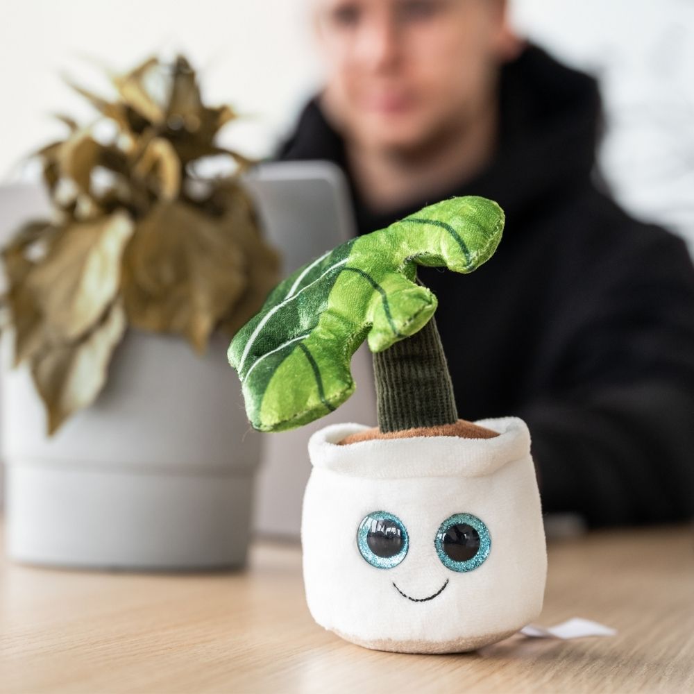 Schmoozies® Evergreenies® Monstera – Detailansicht 4