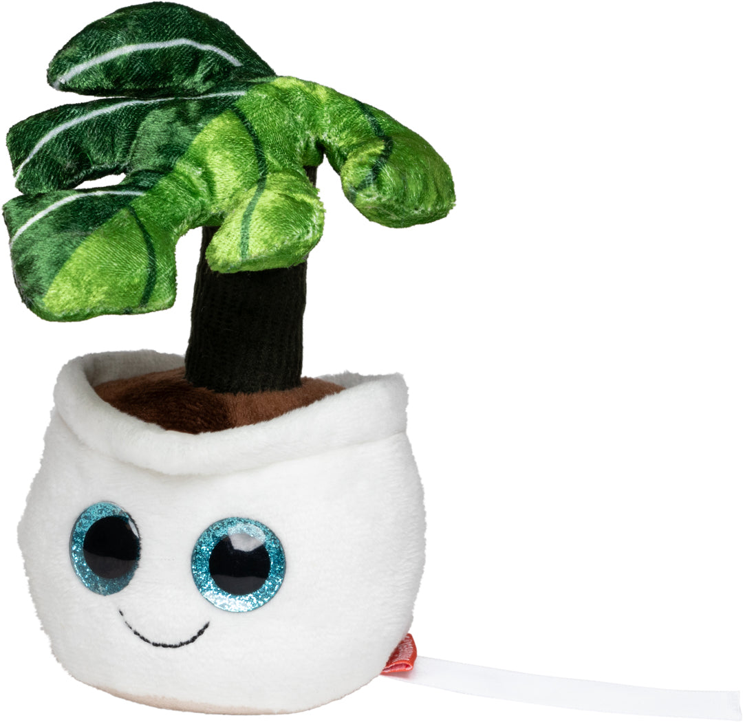 Schmoozies® Evergreenies® Monstera – Detailansicht 6