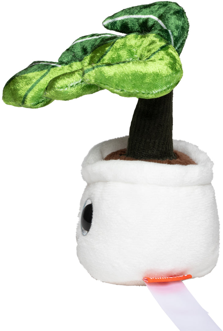 Schmoozies® Evergreenies® Monstera – Detailansicht 7