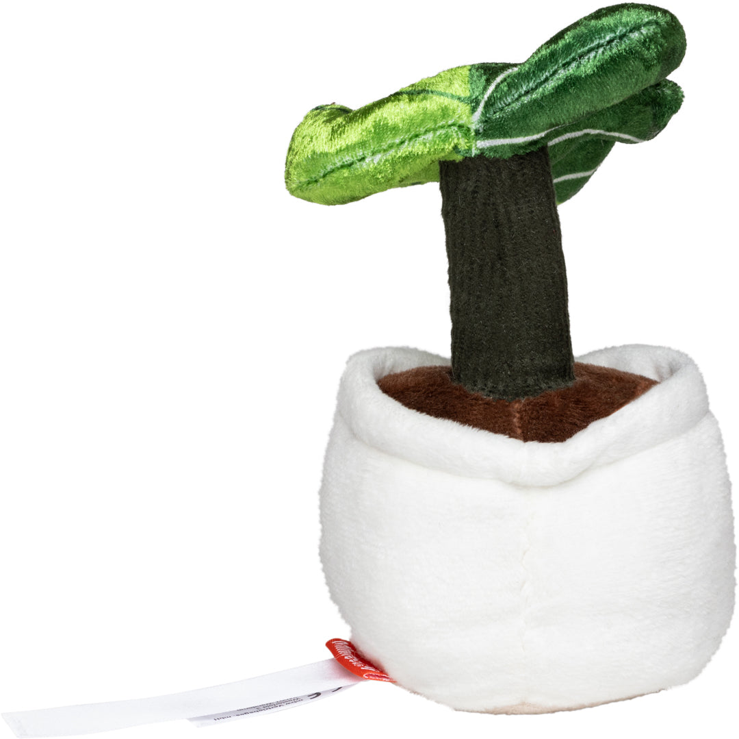 Schmoozies® Evergreenies® Monstera – Detailansicht 8