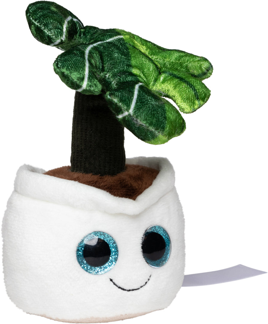 Schmoozies® Evergreenies® Monstera – Detailansicht 10
