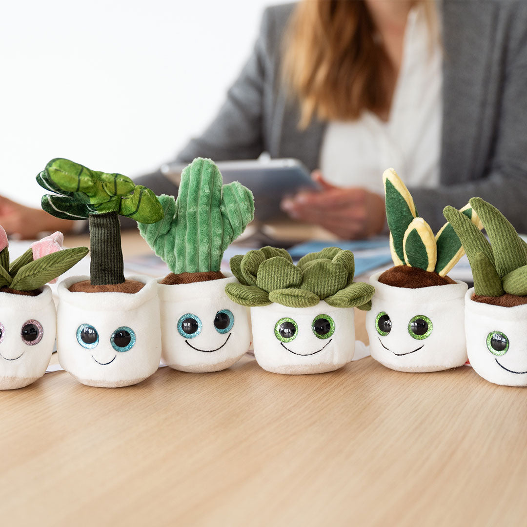Schmoozies® Evergreenies® Sukkulente – Detailansicht 5