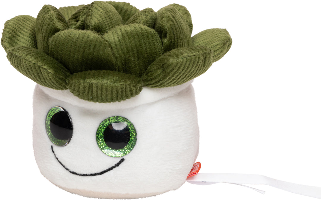 Schmoozies® Evergreenies® Sukkulente – Detailansicht 6