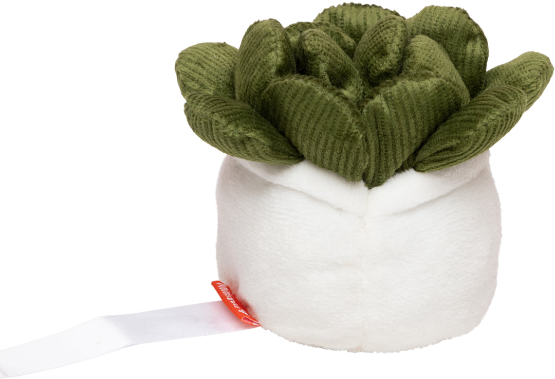 Schmoozies® Evergreenies® Sukkulente – Detailansicht 8