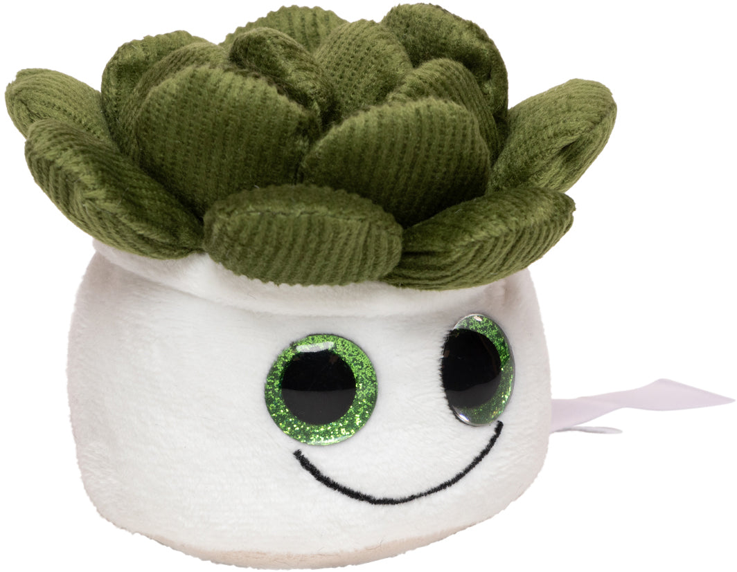 Schmoozies® Evergreenies® Sukkulente – Detailansicht 10