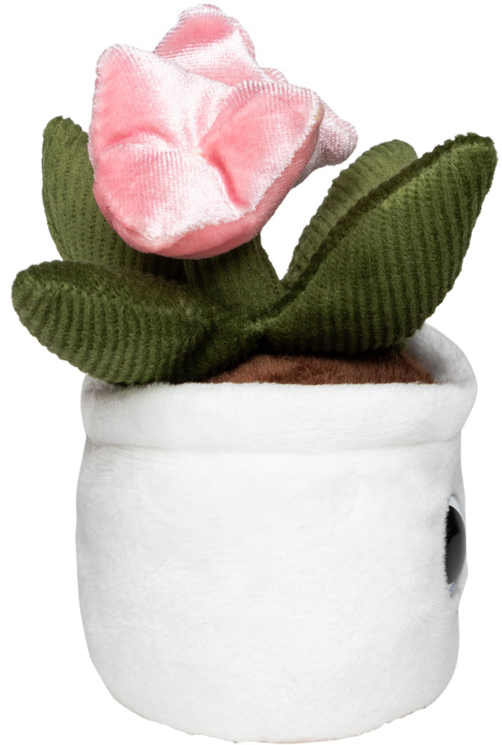 Schmoozies® Evergreenies® Tulpe – Detailansicht 9