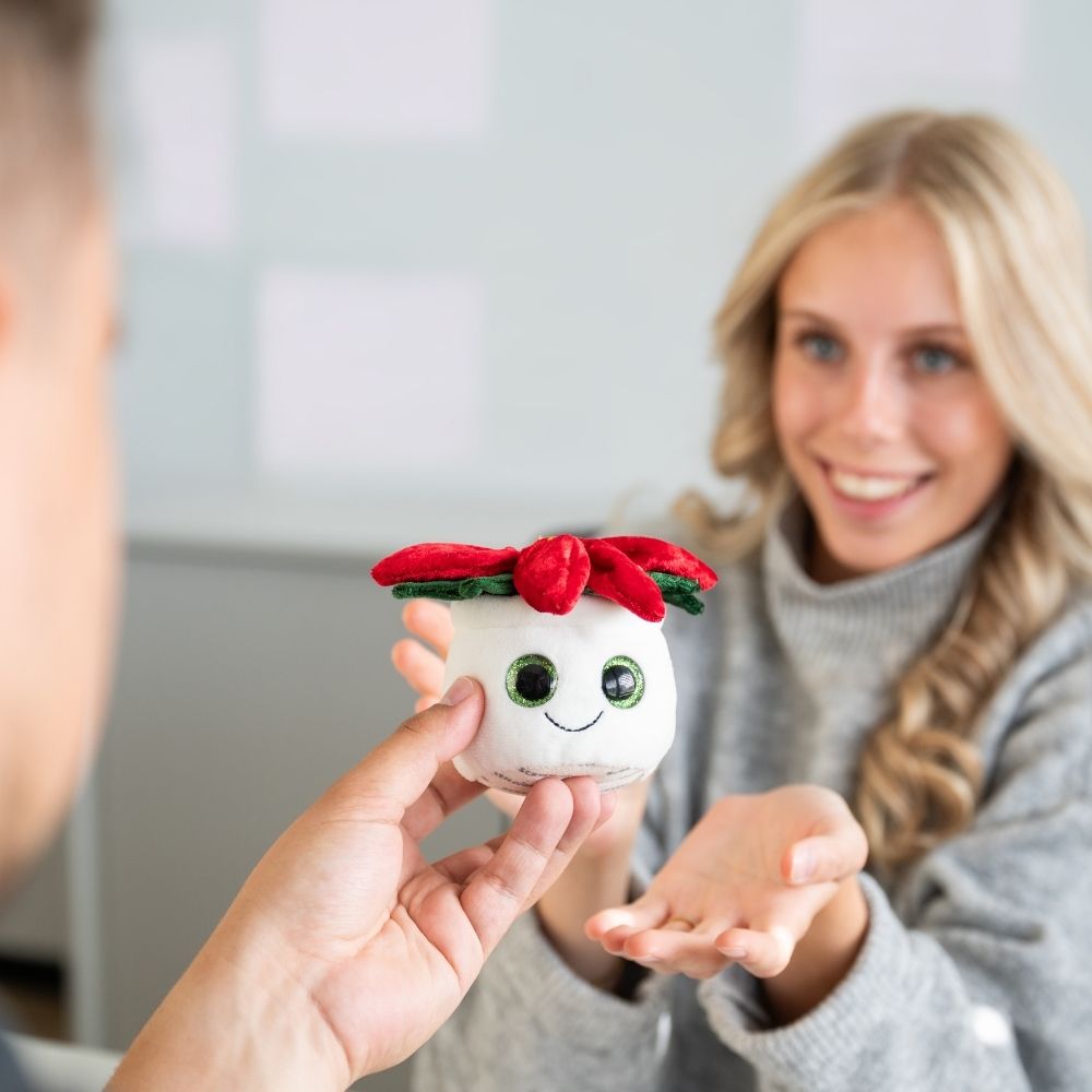 Schmoozies® Evergreenies® Weihnachtsstern – Detailansicht 3