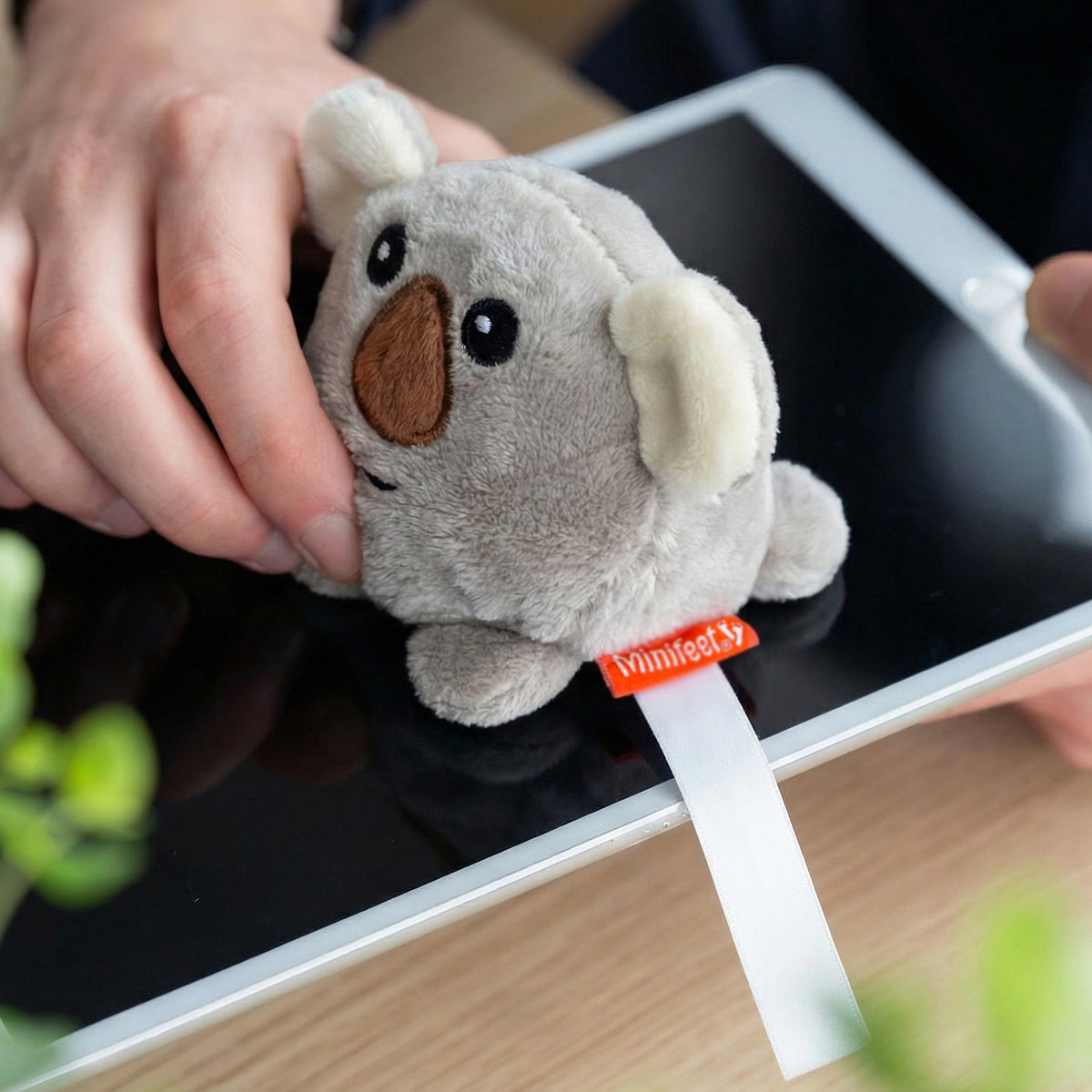 Schmoozies® Koala – Detailansicht 3