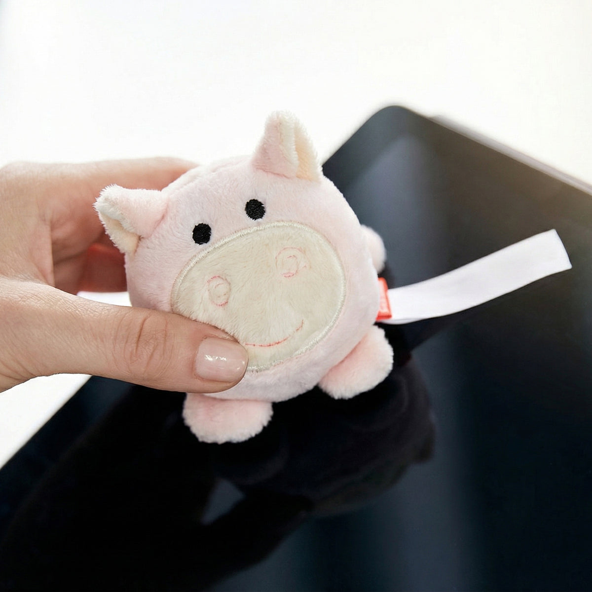 Schmoozies® Schwein – Detailansicht 3