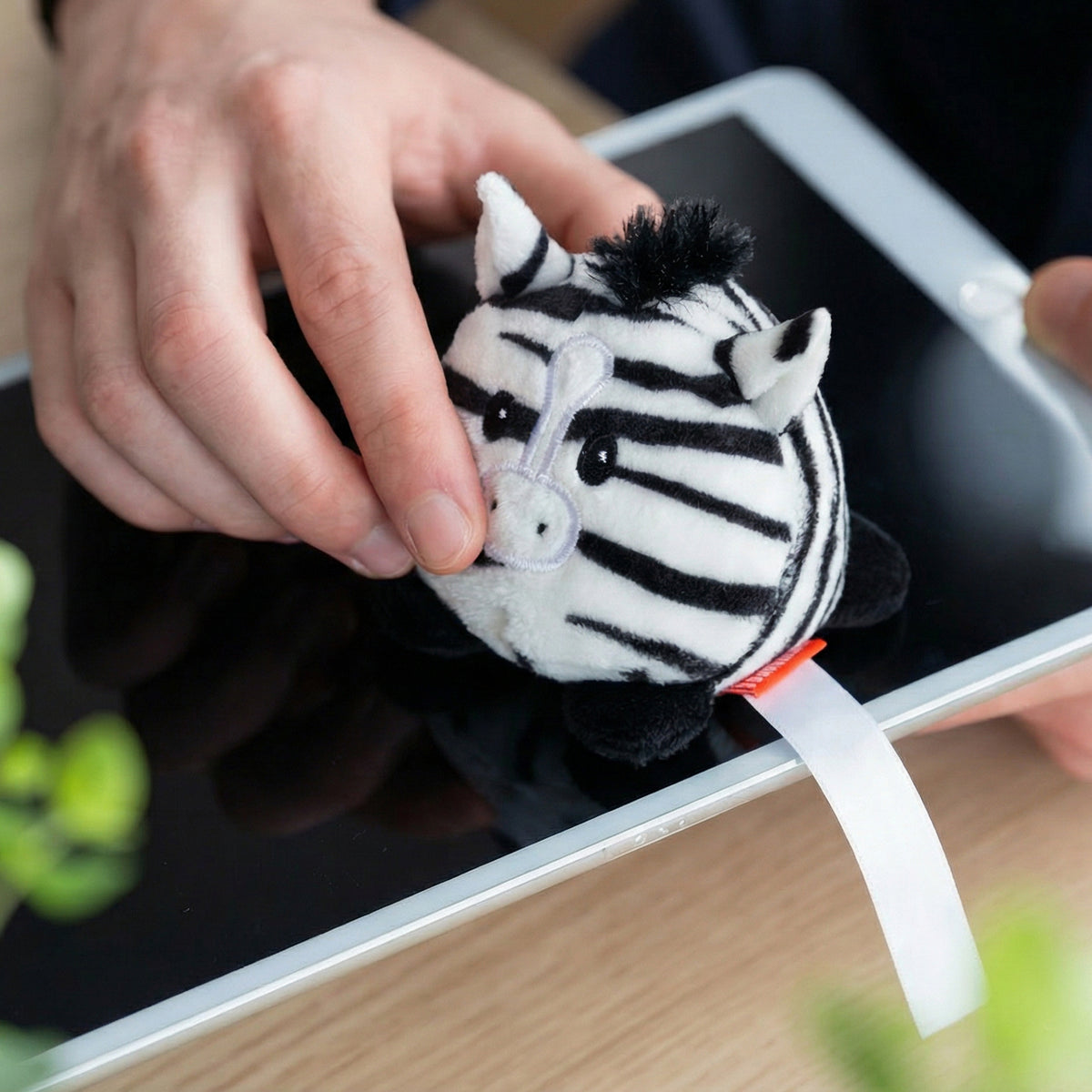 Schmoozies® Zebra – Detailansicht 3